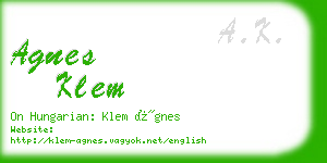 agnes klem business card